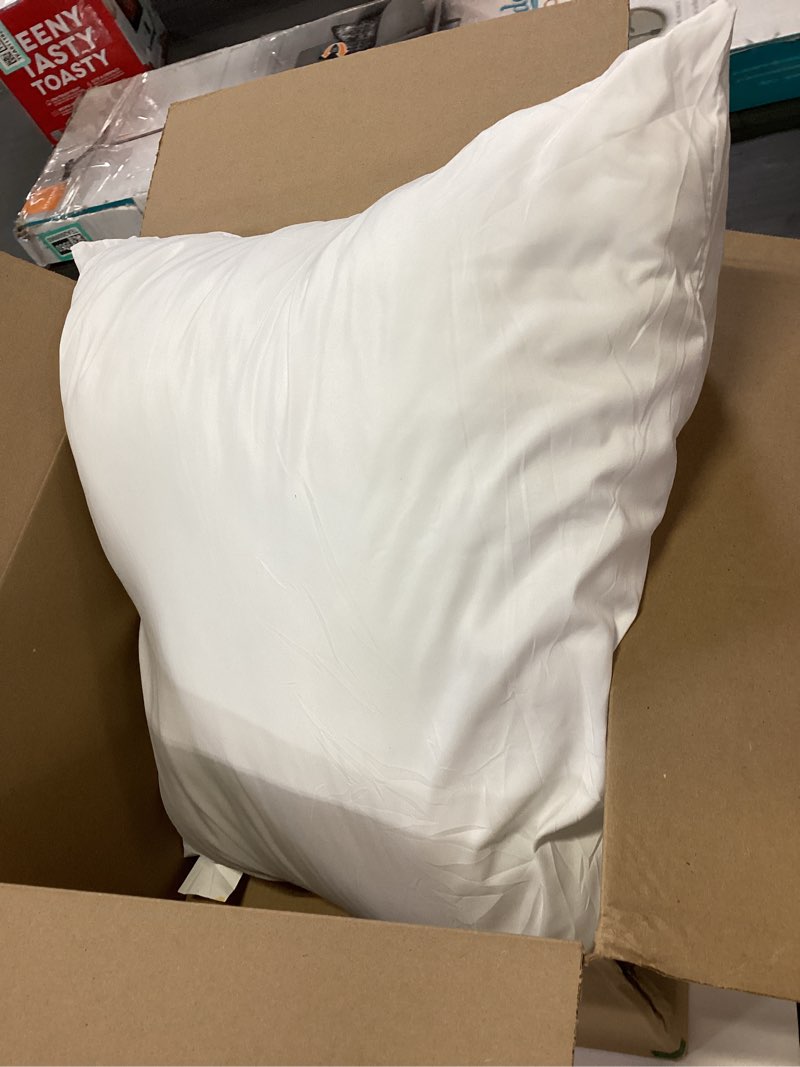 Condition photo showing As Is for EDOW Throw Pillow Insert, Lightweight?Soft Polyester Down Alternative Decorative Pillow, Sham Stuffer, Machine Washable. (White, 24x24) 24"x24"