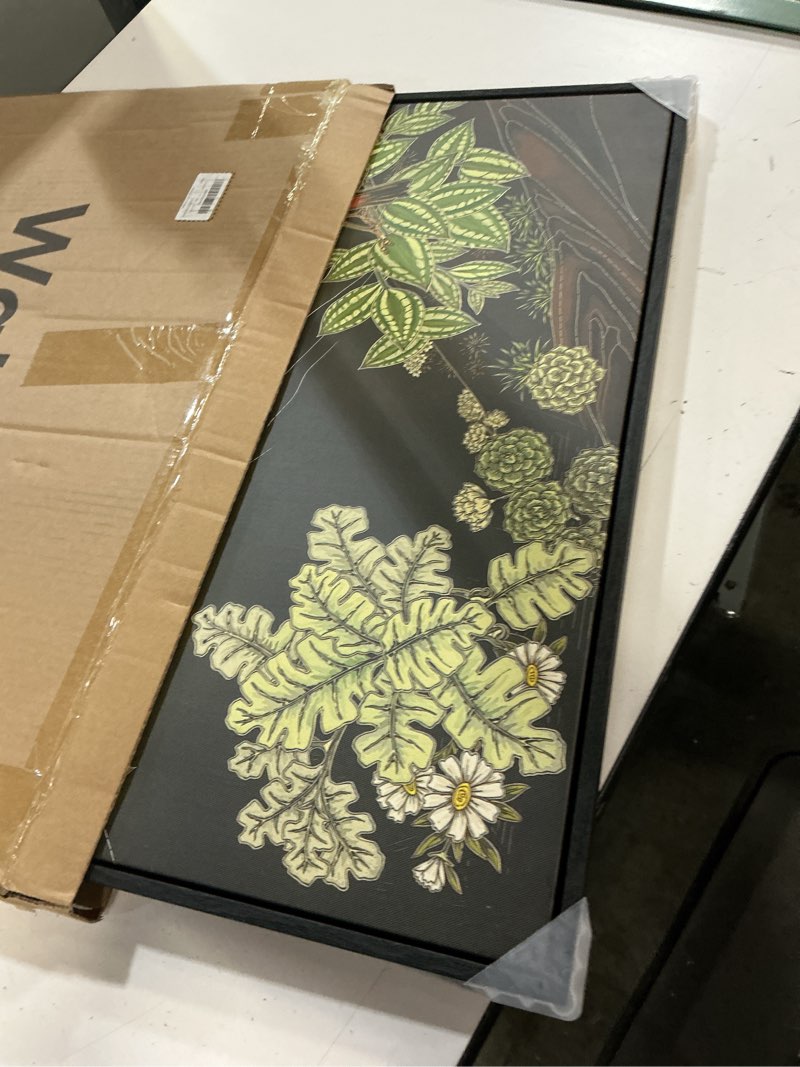 Condition photo showing Good Condition for framed green wall art, vintage botanical flower bird nature canvas prints paintings for walls, rustic olive green square pictures wall decor for living room bedroom dining room bathroom, 24x24 in 24"l x 24"w green-a