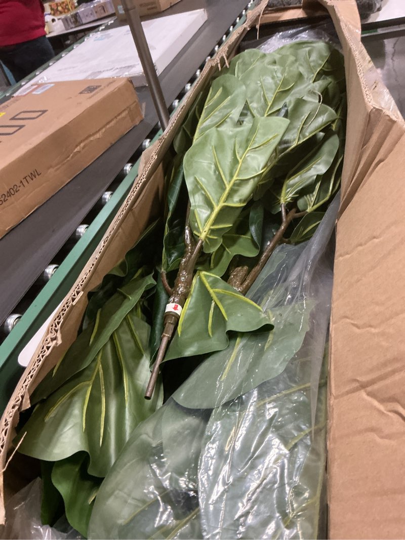 Condition photo showing Good Condition for Aveyas 6ft Artificial Fiddle Leaf Fig Tree for Home Decor, 6 Feet Large Faux Plant Fake Ficus lyrata Silk Trees with Pot for Indoor Outdoor House Living Room Office (6 ft Tall) Fiddle Leaf Fig Tree (6ft)