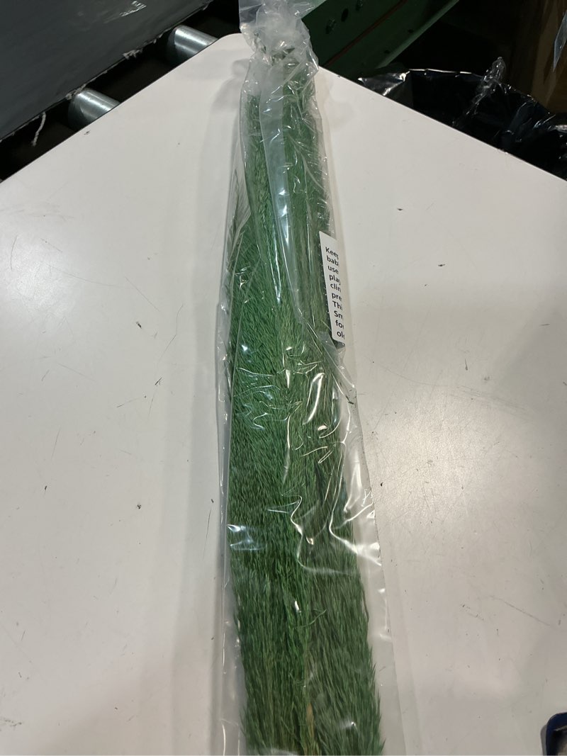 Condition photo showing New/Like New for green pampas grass decor tall for floor vase,long natural pampas grass, natural green pampa, 4pcs 43.3"(110cm) large dried pompas floral, elegant feather flowers,wedding living room decorations 4pcs 43.3"(110cm) natural green