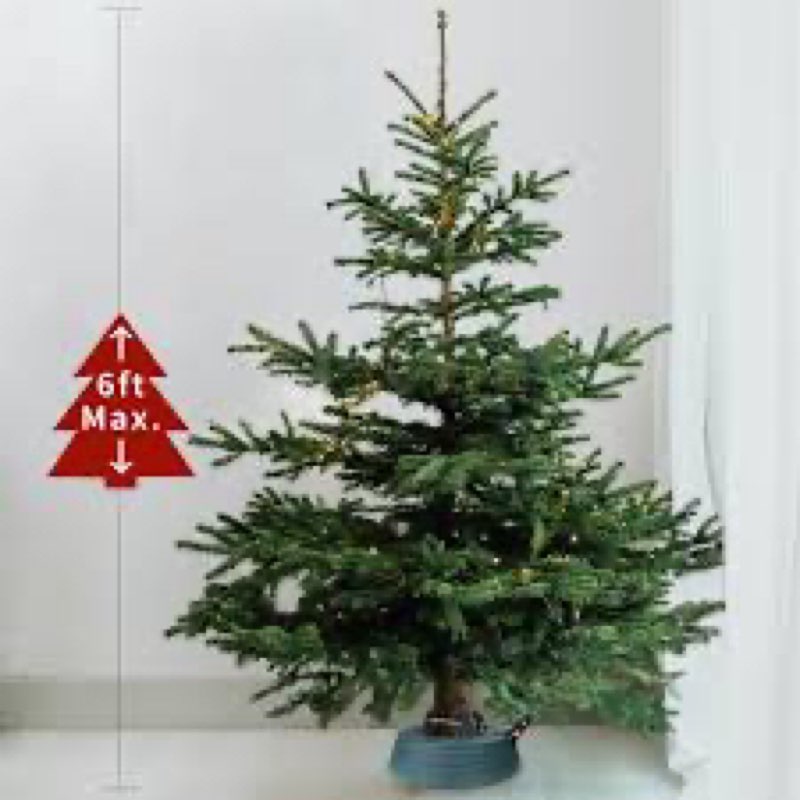 JILUVA Christmas Tree Stand with Water Reservoir, Foot Press Easy Setup, Fits up to 8ft Real Tree wi