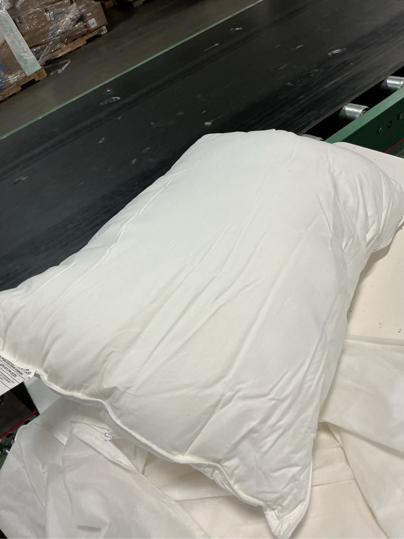 Condition photo showing Good Condition for quince premium down pillow
