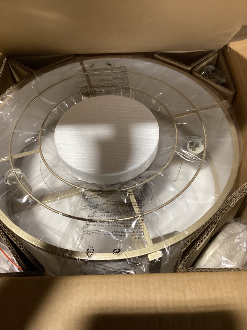 19'' modern ceiling fan with light