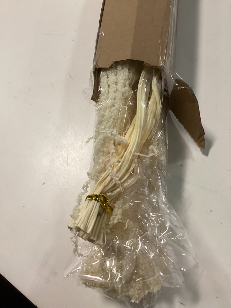Condition photo showing Good Condition for 5Pcs Dried Amaranthus Hanging Flowers, 23" White Preserved Natural Wisteria for Wedding Arch, Fall Thanksgiving, Table Centerpiece, Wall Hanging Lover Tears, Floral Arrangement, Farmhouse Decor