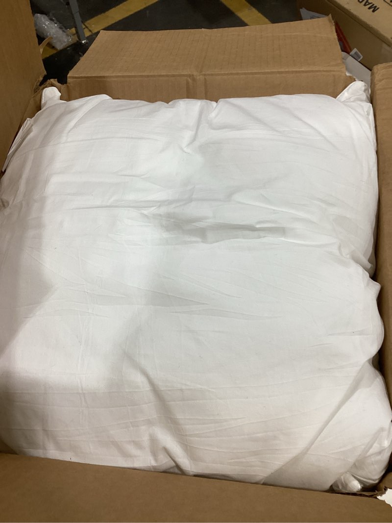 Condition photo showing Good Condition for Phantoscope 22 x 22 Pillow Inserts - Throw Pillow Inserts with 100% Cotton Cover - Square Forms Microfiber Pillow Sham Stuffer - Couch Cushion Pillows 22 Inches, 2 Count (Pack of 1) 22 x 22 Inch-2 PCS White