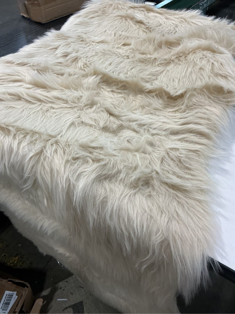 Condition photo showing Good Condition for easyjoy ultra soft fluffy shaggy area rug faux fur rug chair cover seat pad fuzzy area rug for bedroom floor sofa living room (2 x 6 ft sheepskin, beige)