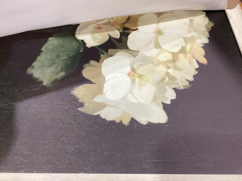 Condition photo showing Good Condition for laiart framed canvas wall art, retro hydrangea canvas print wall decor?white flowers pictures 20x20 in 20"l x 20"w multicolor-22