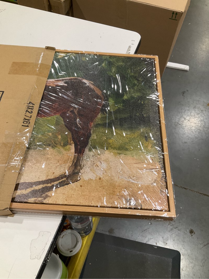 Condition photo showing Good Condition for crmotu Framed Canvas Wall Art, Brown Horse Vintage Decor Painting, Classical Animal Art Prints Office Decorations, Still Life Aesthetic Wall Pictures for Living Room Bedroom Kitchen Gallery 16x24in 24"L x 16"W Colt
