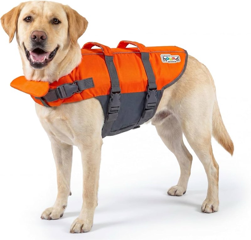 outward hound granby splash orange dog life jacket, xl
