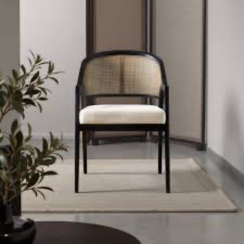 aliha 19'' h foam padding upholstered cane back side chair set of 2 incomplete 