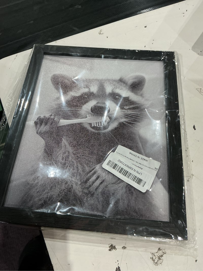 Condition photo showing Good Condition for raccoon bathroom art wall decor black and white animal picture funny raccoon brushing teeth art farmhouse framed prints painting 10"l x 8"w jk0301