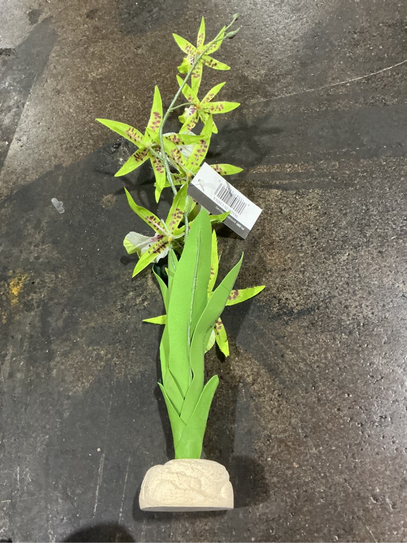 Condition photo showing Good Condition for Exo Terra Spider White Green Terrarium Plant