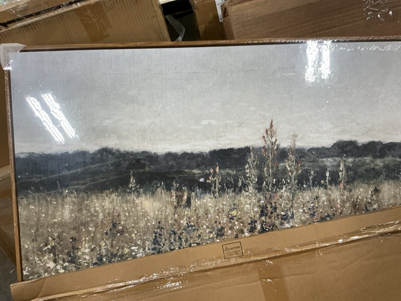Condition photo showing Good Condition for insimsea framed canvas wall art vintage decor, landscape wall art, meadow with flowers art, modern farmhouse decor, cottagecore bedroom bathroom office decorations, 24"x36" champ fleuri 36"l x 24"w