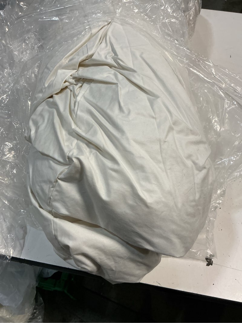 Condition photo showing As Is for quince premium feather pillow insert, 14x36, no color