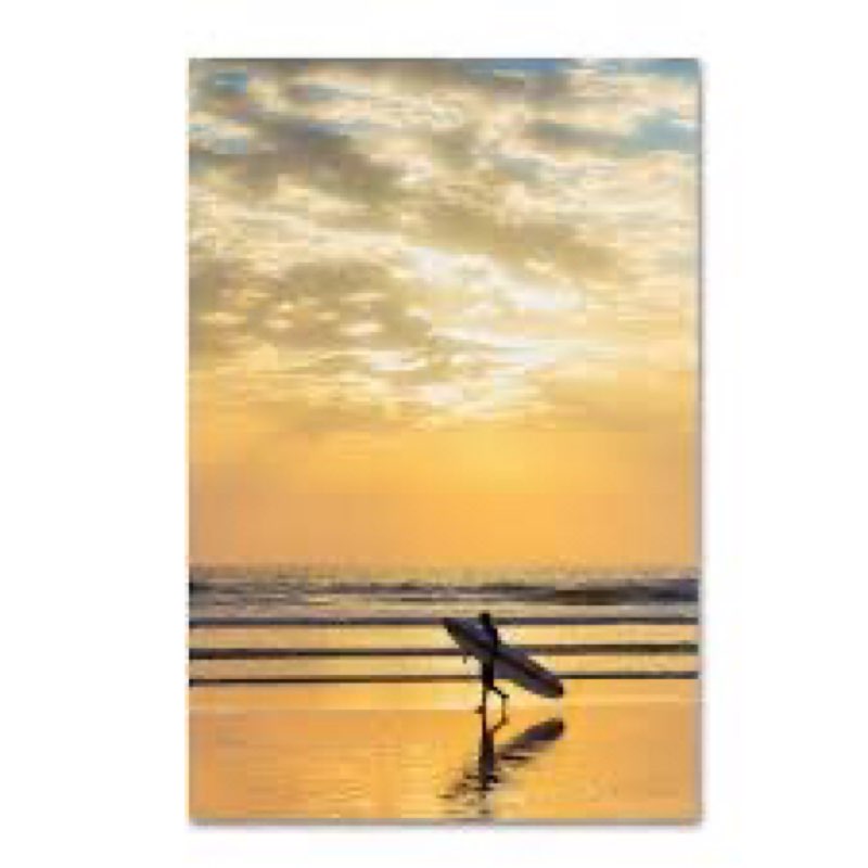'Surfing 6' Photographic Print on Wrapped Canvas Size: 32" H x 22" W