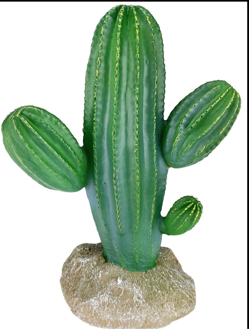 Multi Pet 48593324: Komodo Cactus Plant Saguaro, 9.5In
