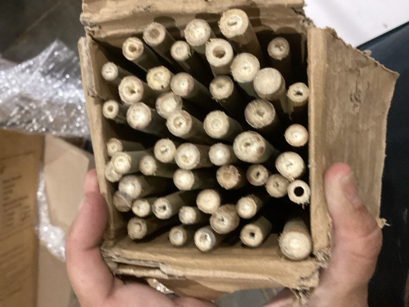 Condition photo showing Good Condition for cambaverd bamboo stakes for plants, 50 pack bamboo stakes 5 feet(58in, approx 5ft), natural garden stakes for tomatoes and climbing plant support, sturdy bamboo plant stakes 50 58 inch