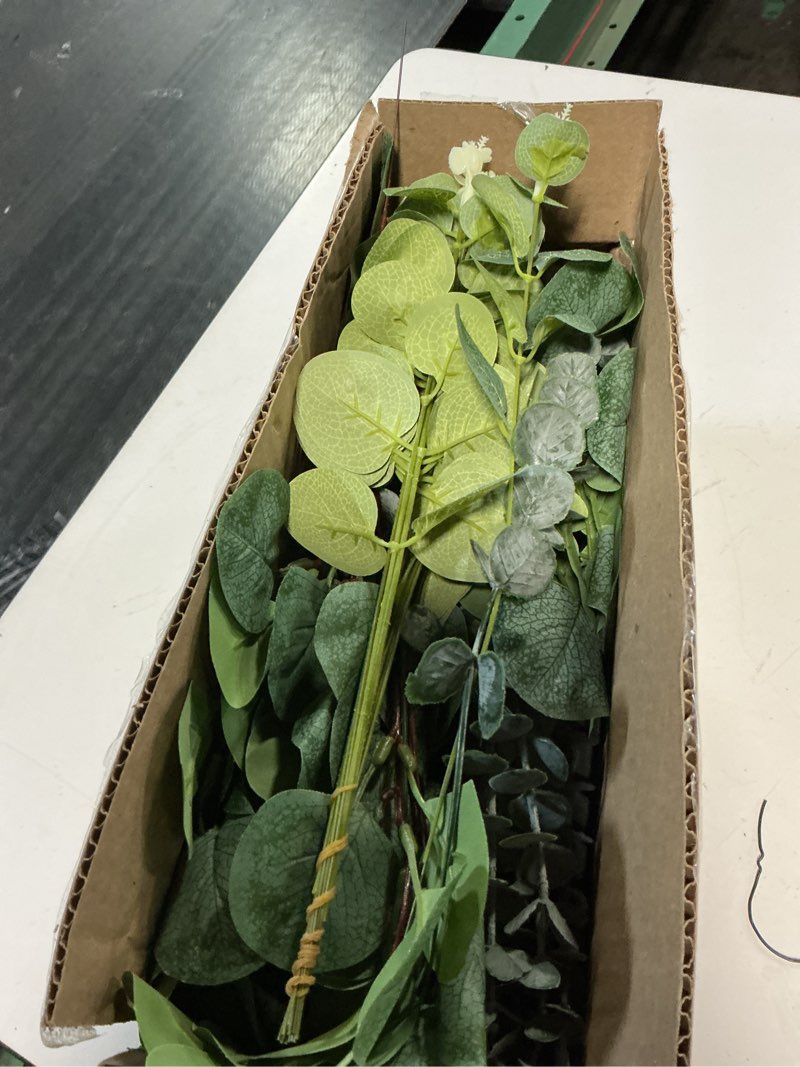 Condition photo showing Good Condition for lovemoon 50pcs artificial mixed eucalyptusstems bulk, 5 kinds of faux greeneryeucalyptus leaves bulk for vase wedding diy bouquets floral arrangement home decor green