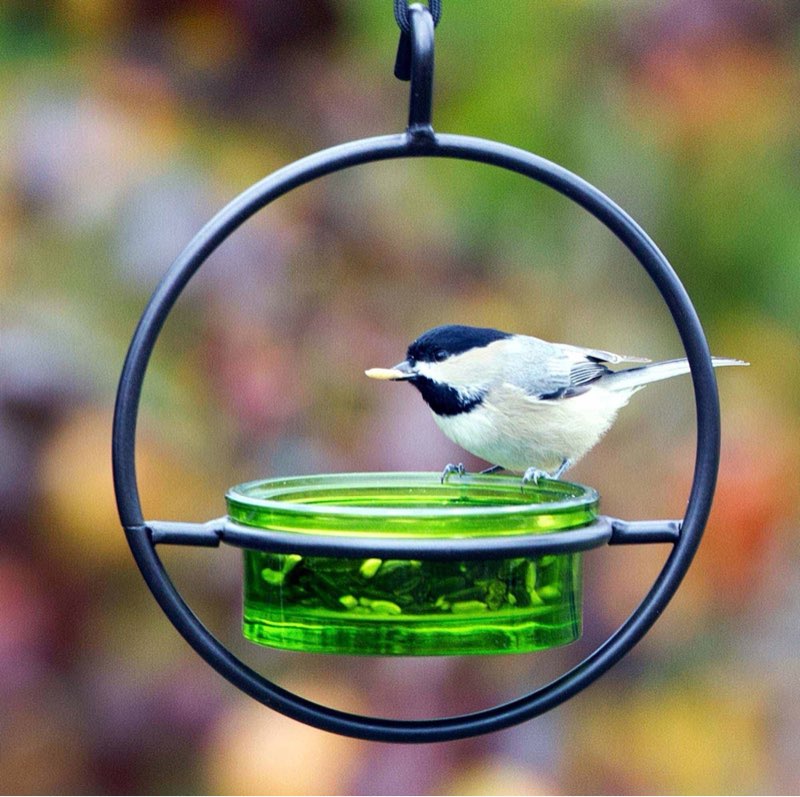 Mosaic Birds Hummble Basic Bird Feeder, Lime with Black Trim
