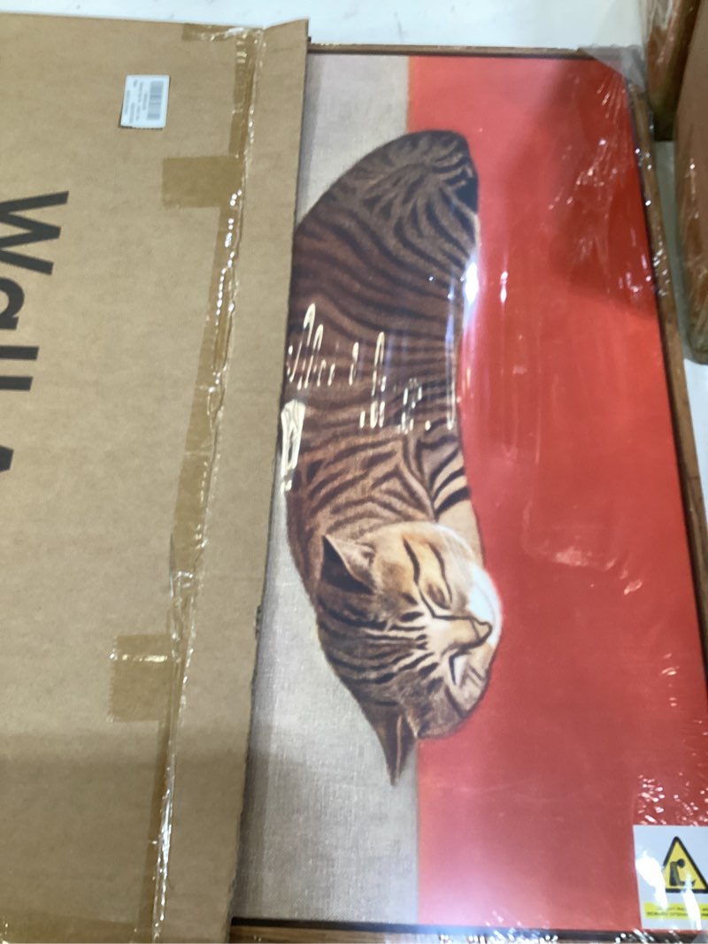 Condition photo showing New/Like New for framed vintage cat wall art for bedroom, modern minimalist neutral cozy animal canvas painting prints, retro brown earth tone aesthetic sleeping cat artwork for living room nursery wall decor, 16x24 24"l x 16"w orange & brown