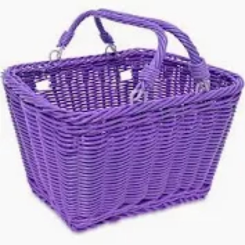 Aikolesa Wicker Picnic Basket for Kids, Small Woven Rattan Basket with Handles Purple Garden Harvest