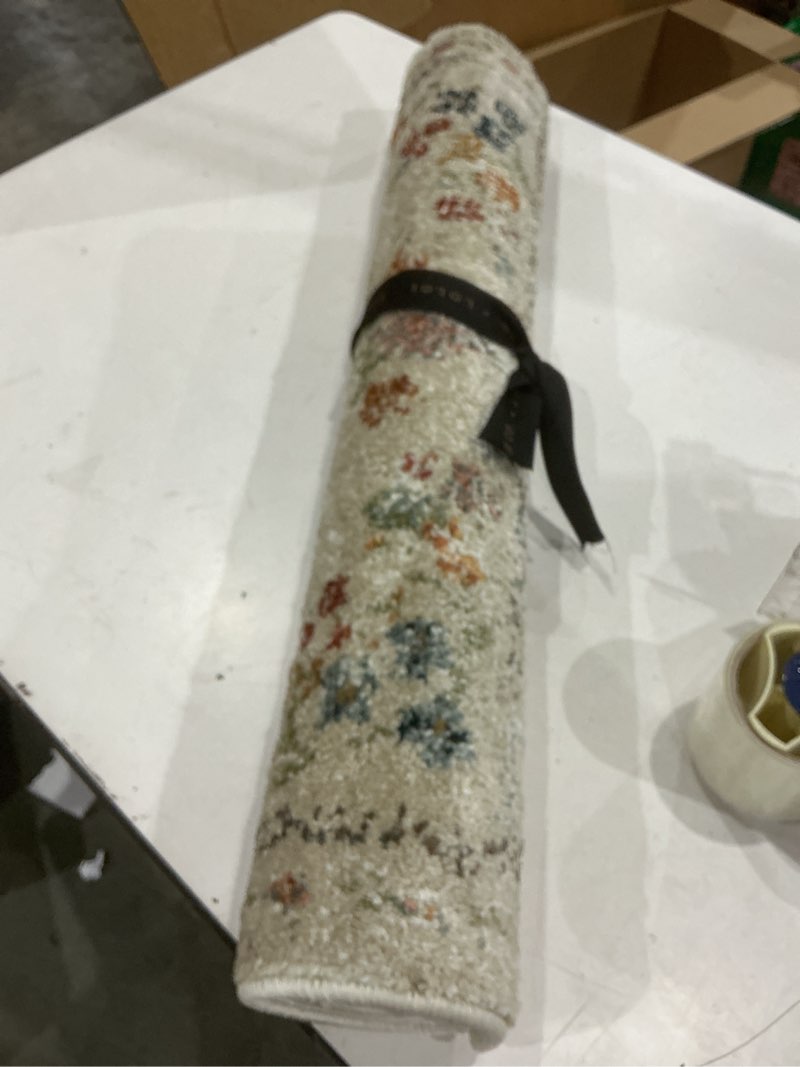 Condition photo showing Good Condition for loloi rifle paper co. laurel collection lau-02 linen 3'-11" x 5'-7" accent rug linen 3'11" x 5'7" (rectangular)
