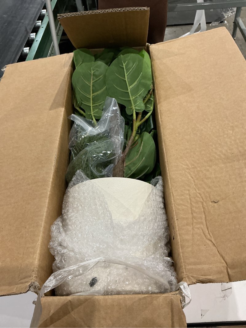 Condition photo showing Good Condition for 5ft artificial fiddle leaf fig tree with white planter & fake moss, realistic faux ficus lyrata floor plant for indoor home office decor, housewarming gift