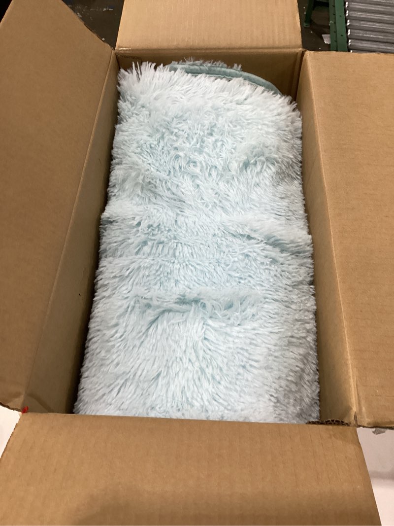 Condition photo showing As Is for Merelax Soft Modern Indoor Shaggy Area Rug for Bedroom Livingroom Dorm Kids Room Home Decorative, Non-Slip Plush Fluffy Furry Fur Rugs Comfy Nursery Accent Floor Carpet 5x8 Feet, Baby Blue 5' x 8' (Rectangular) Baby Blue
