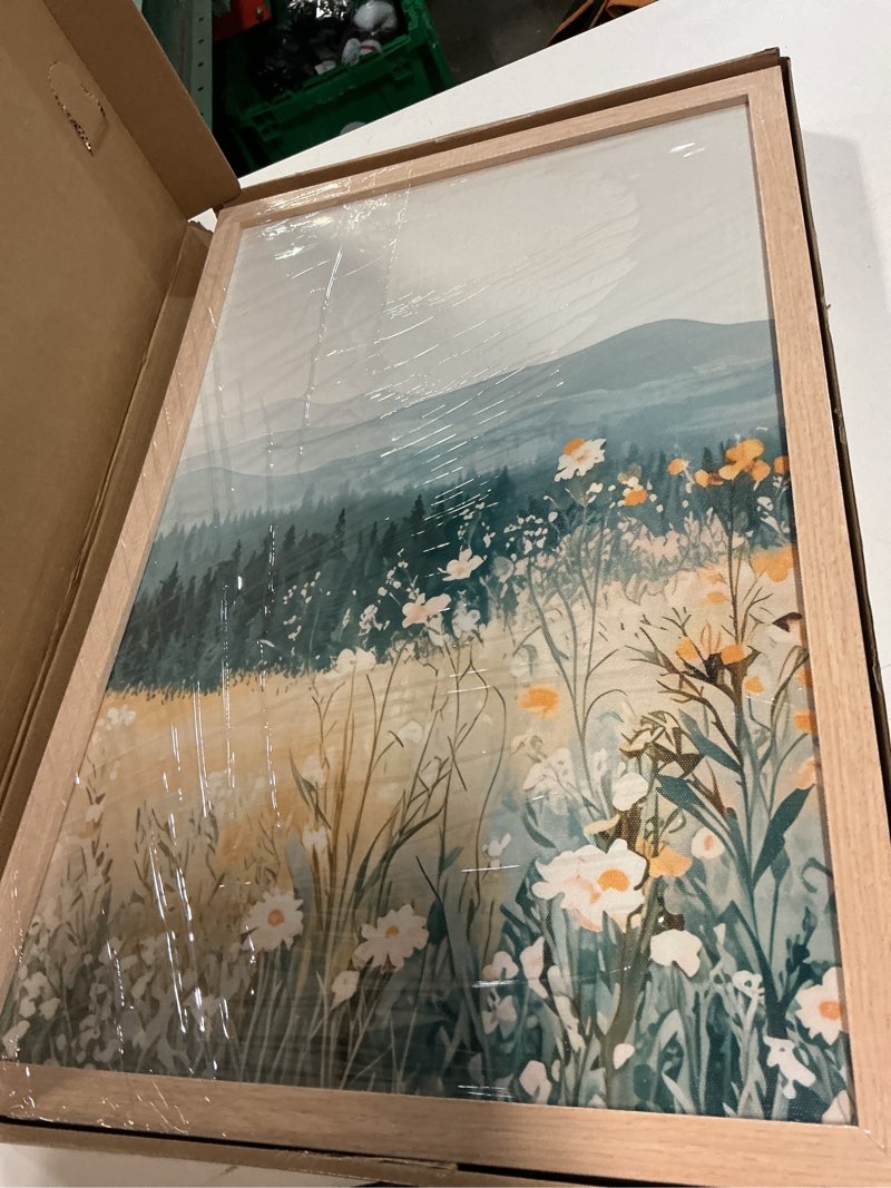 Condition photo showing Good Condition for 3 Pcs Framed Mountain Wildflower Wall Art Triptych Natural Landscape Canvas Prints Large Farmhouse Daisy Poster Botanical Picture Painting for Living Room Bedroom Decor 16x24IN Mountain Landscape 16x24 Inches