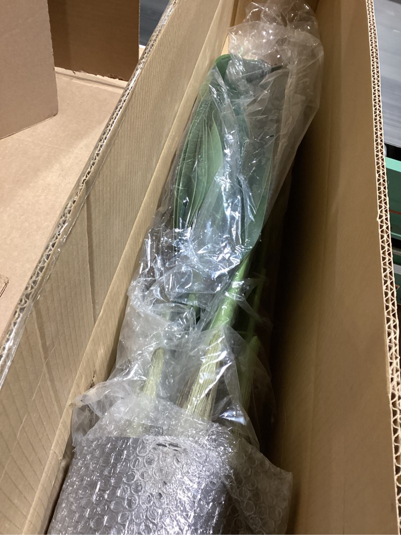 Condition photo showing New/Like New for Lifelike Bird of Paradise Artificial Plant,6.6ft Faux Banana Leaf Tree with 15 Trunks - Perfect Indoor Silk Floor Plant for Home Decor in Living Room, Office, and Bedroom 1 6ft 7in