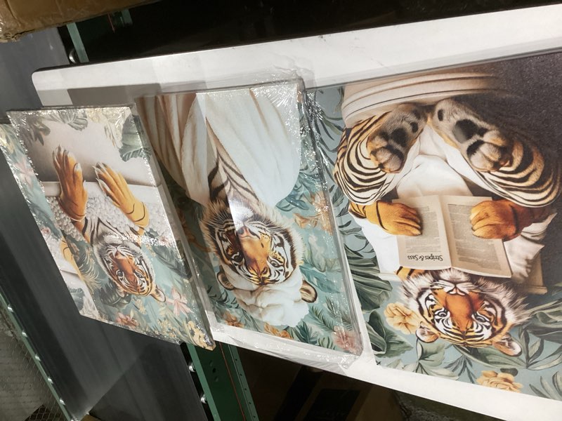 Condition photo showing Good Condition for 3pcs funny tiger bathroom canvas wall art trendy preppy tiger bathroom wall decor prints fashion sunglasses animal toilet paintings pictures for washroom toilet home decoration 12x16in framed canvas, similar to stock photo
