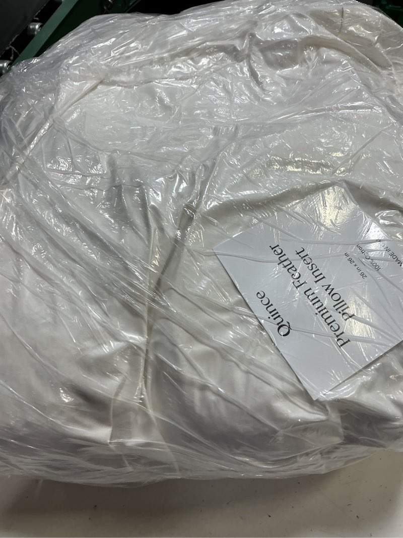 Condition photo showing Good Condition for quince premium feather pillow insert 26”x26” 