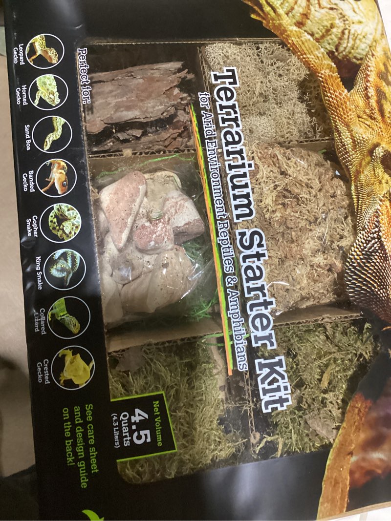 Galapagos terrarium starter kitarid environment