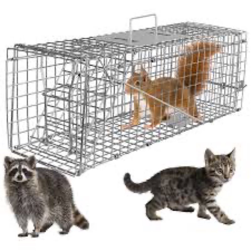 Live Animal Cage Trap, 23.3x7.2x7.7 Inches Humane Cat Trap for Stray Cats, Outdoor Heavy Duty Foldable Raccoon Traps, Humane Catch & Release Live Traps for Rabbits, Squirrels
