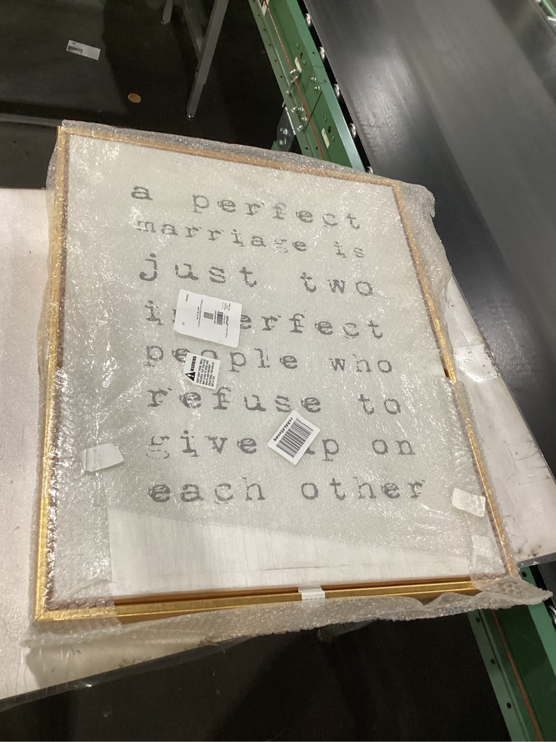 Condition photo showing New/Like New for Stupell Industries A Perfect Marriage, Design by Daphne Polselli 30"L x 24"W Gold Floater Frame