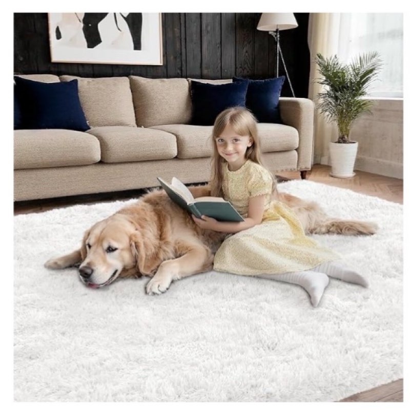 MATIIUI Shag White Rug, Rugs for Bedroom Living Room, 4x6 Ultra Soft Fluffy Area Rugs for Bedside, K