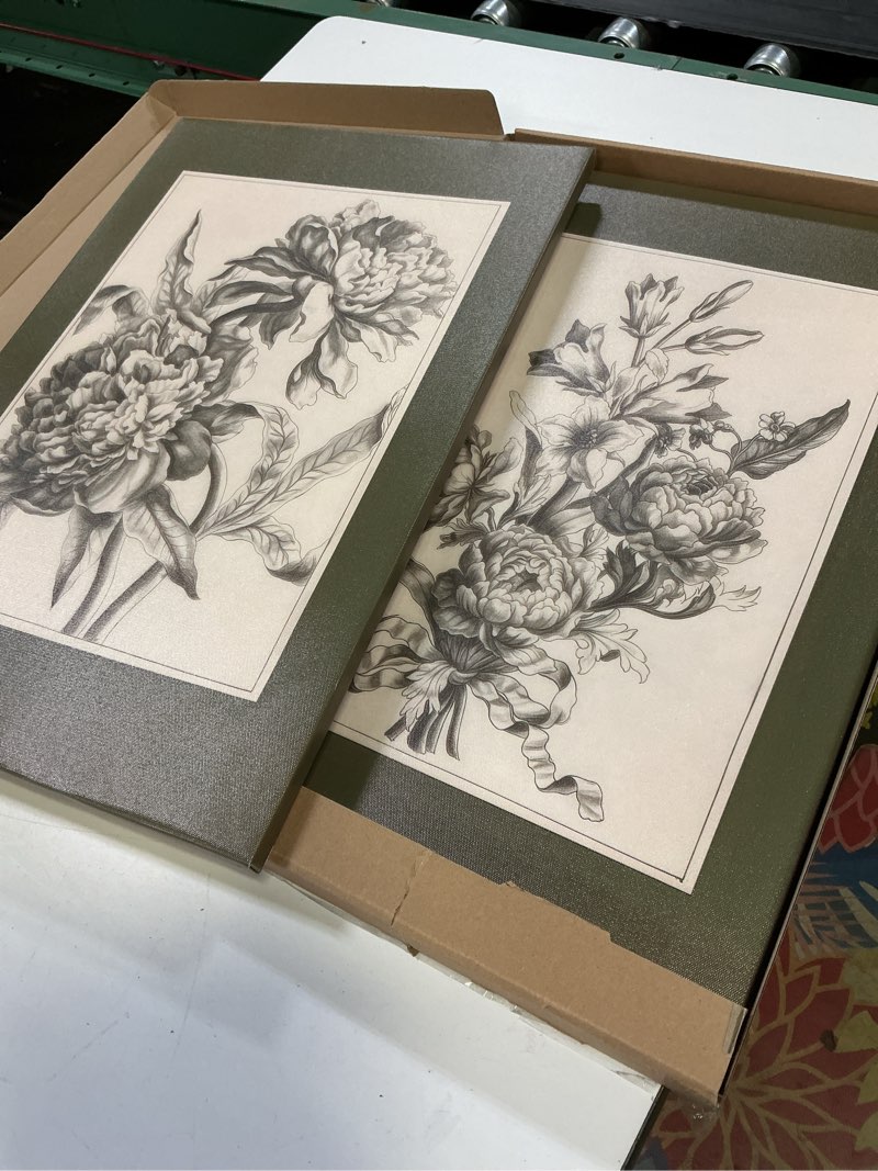 Condition photo showing Good Condition for set of 2 flower sketch prints sage green wall art vintage etchings dark green botanical canvas poster antique floral drawing art wall decor for study library living room 16x24inch unframed 16l'' x 24w'' style-1 unframed
