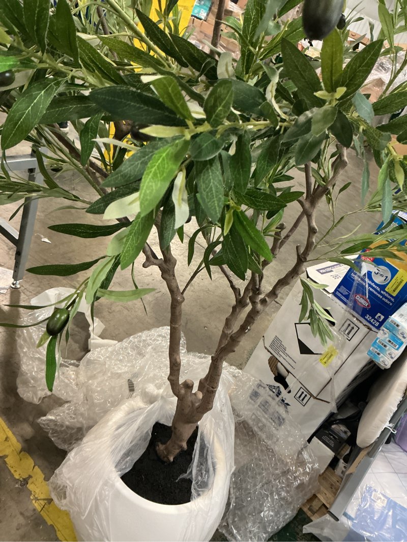 Condition photo showing Good Condition for artificial 8 ft. olive tree with 18 in. white planter, tall faux olive trees for indoor, home decor