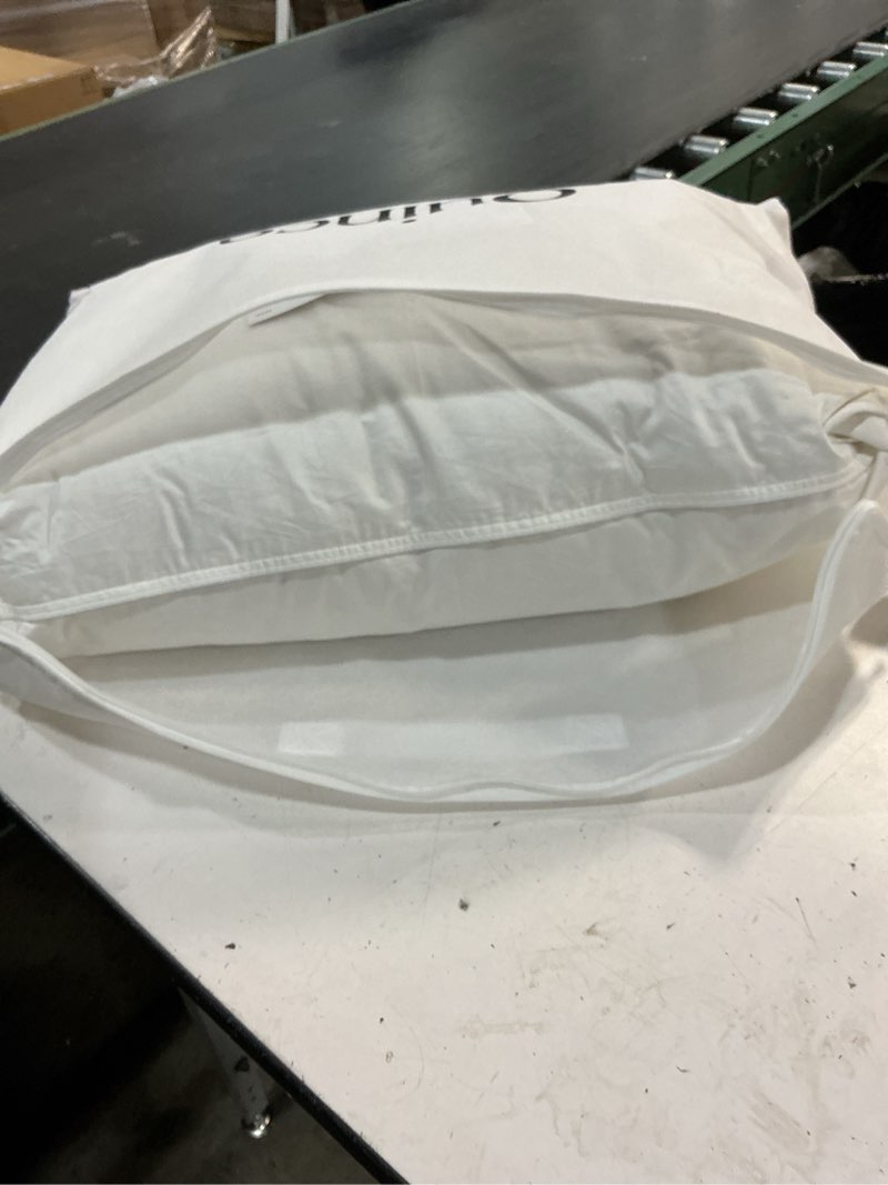 Condition photo showing Good Condition for quince luxe goose down pillow standard soft/medium