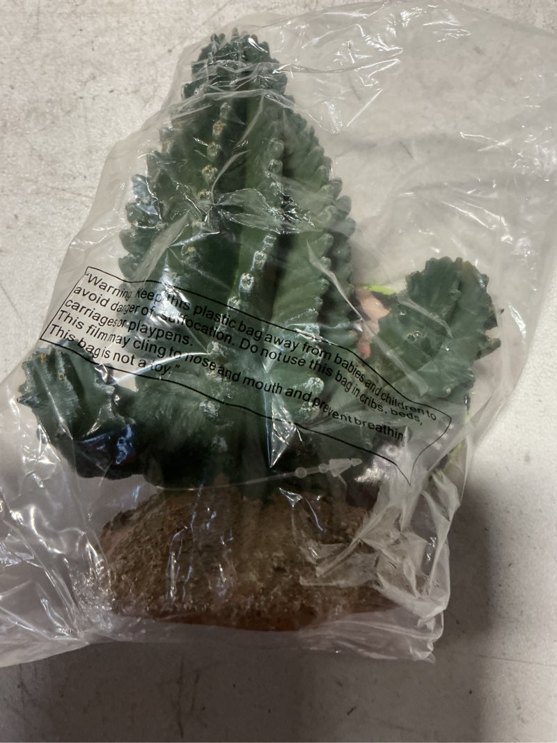 Condition photo showing New/Like New for Multi Pet 48593320: Komodo Cactus Plant Columnar, 5.9In