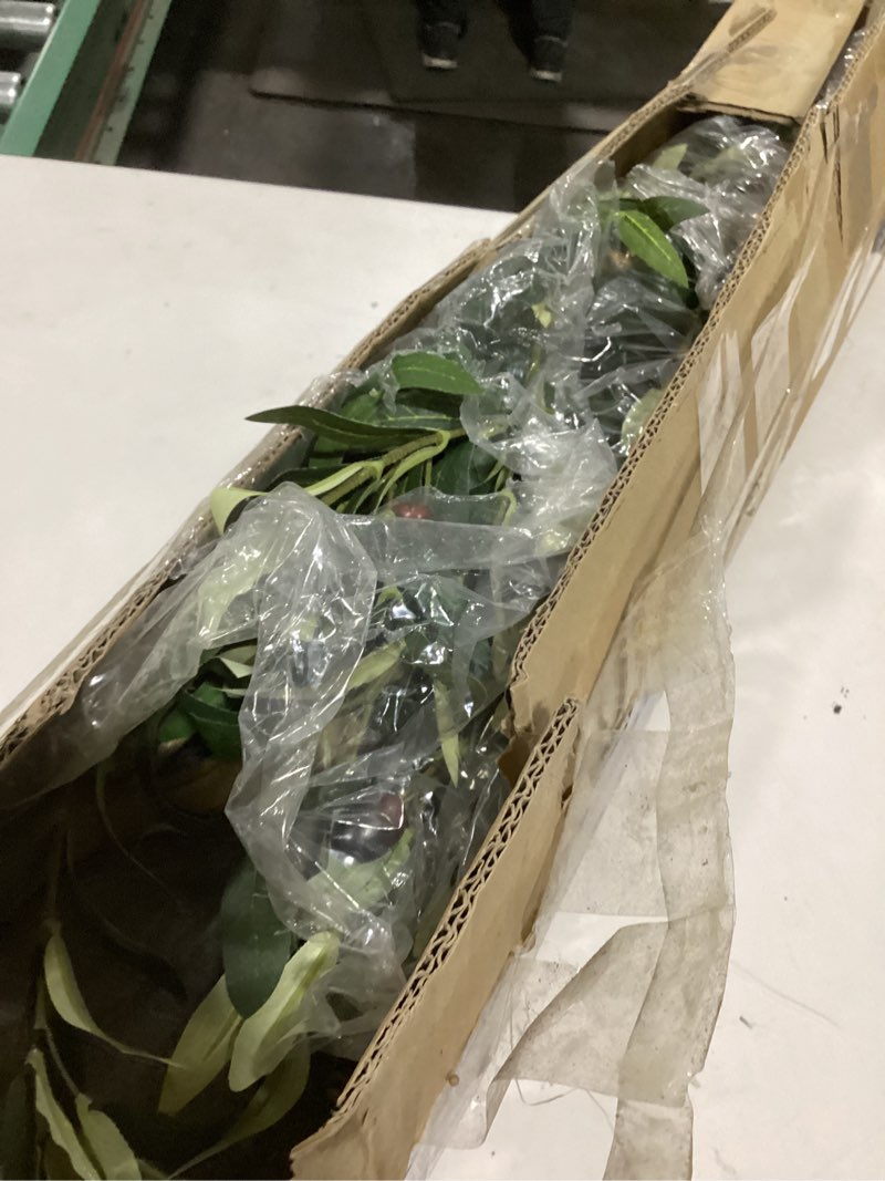 Condition photo showing Good Condition for Bellacat Faux Olive Tree 7ft?Olive Trees Artificial Indoor with Natural Wood Trunk and Realistic Leaves and Fruits. 7 Feet(84in) Fake Olive Tree for Home House Office Décor. 1 7ft