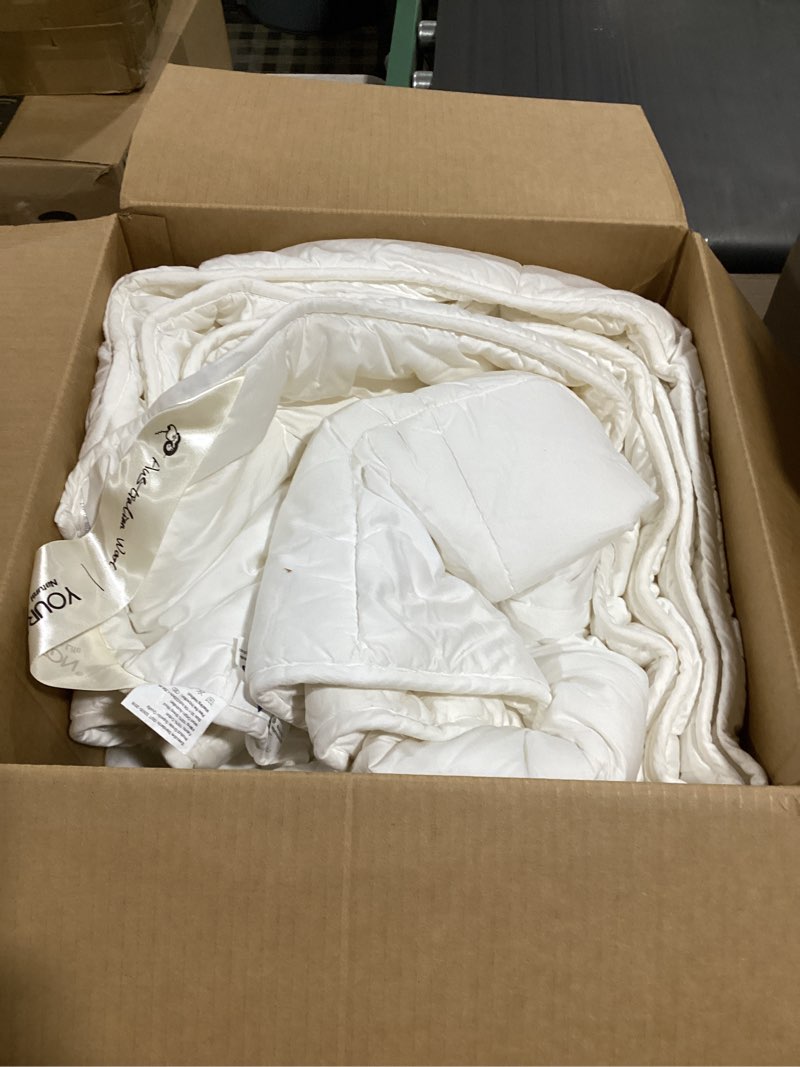 Condition photo showing Good Condition for your moon pure mulberry silk comforter queen size for all season,100% natural long strand silk fill duvet, luxury mulberry silk bedding, noiseless smooth jacquard bamboo viscose shell (white)