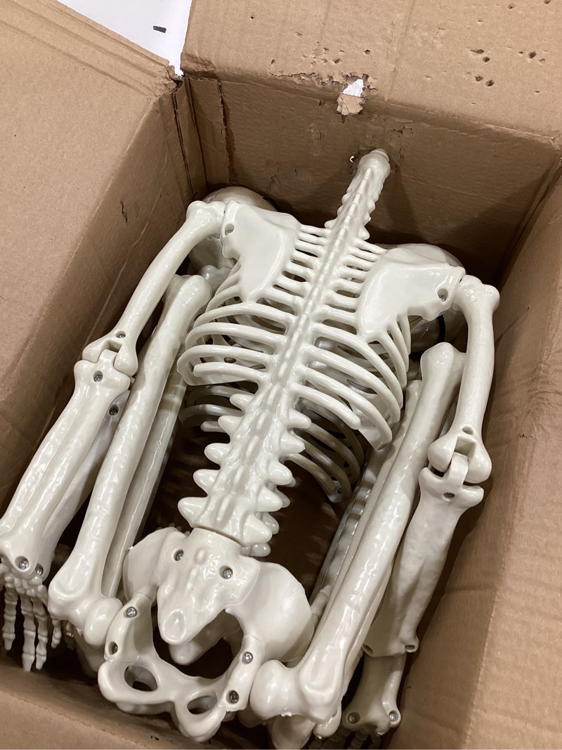 Condition photo showing As Is for 2 pack 36" halloween skeleton decorations, 3ft realistic full body movable posable joints skeleton, creepy halloween plastic human bones for party decor lawn haunted house graveyard props outdoor beige