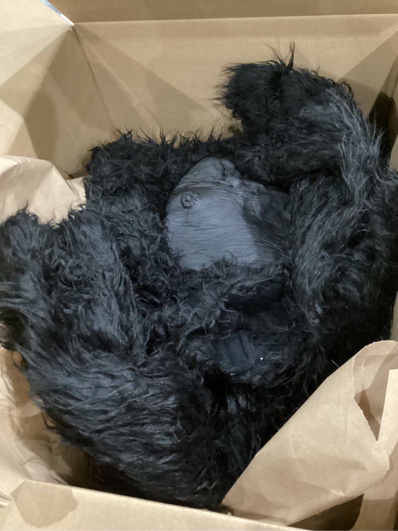 Seasons boys Gorilla Large (12-14) Black