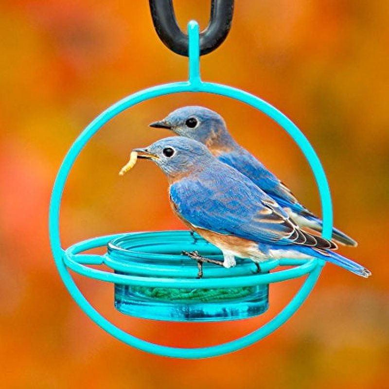 Mosaic Birds Hummble Bold Hanging Bird Feeder for Outdoors, Oriole, Finch Wild Bird Feeders - Aqua Blue