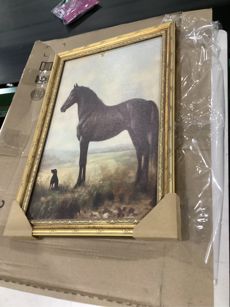 Condition photo showing Good Condition for vintage gold framed horse wall art horse and dog canvas wall decor retro rustic farmhouse animal picture rustic horses poster artwork for home living bedroom farmhouse hallway 16x24in horse 24"l x 16"w
