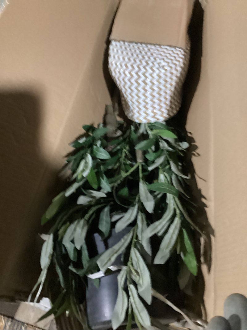 Condition photo showing Good Condition for Artificial Olive Tree, 4ft Tall Fake Olive Leaves Plant with Basket, Indoor Outdoor Faux Olive Topiary Silk Tree for Home Livingroom Office Décor
