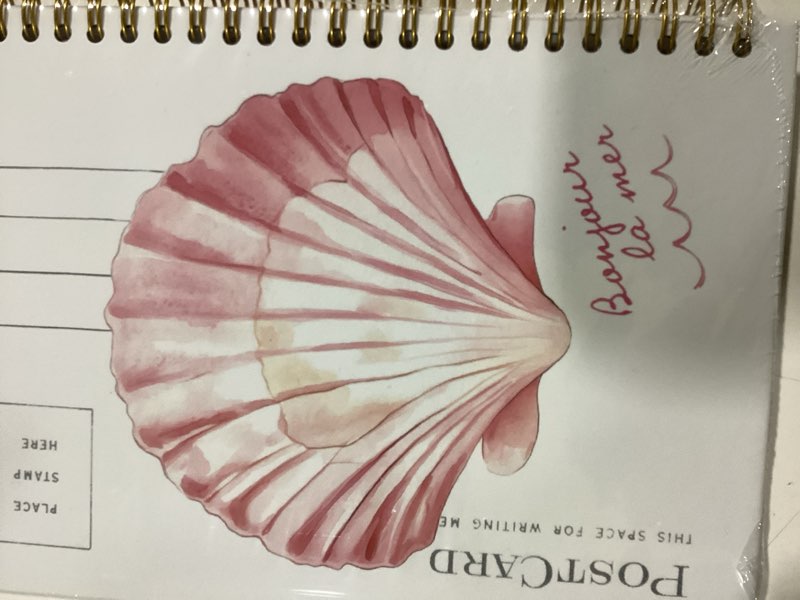 SNNDER Whale Shark Christian Notebook, Isaiah 43:2 Bible Journaling Notebook, Shark Lover Gifts, Christian Prayer Journals for Women Men, Church Notes Notebook, Hardcover Spiral Notebook 5.5x8.3 Inch