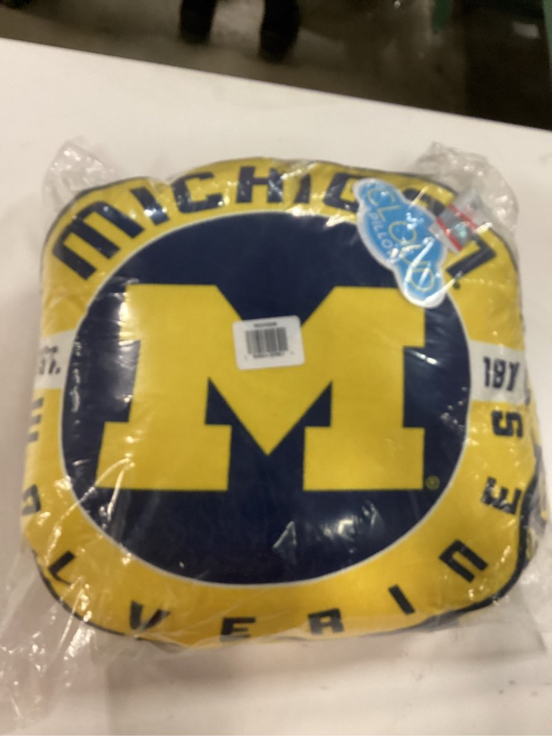 Condition photo showing New/Like New for The Northwest Company NCAA Michigan Wolverines Round Cloud Pillow, 15", Team Colors