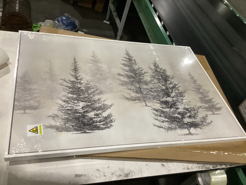 Condition photo showing New/Like New for framed black and white forest landscape wall art, modern minimalist pine tree canvas art prints, contemporary nature pictures wall decor for living room bedroom dining room hallway office 24x36 in 36"l x 24"w black and white pine tree